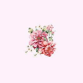 位圖 psd 植物 花朵 pop原創(chuàng) 免費素材