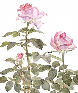 位圖 寫意花卉 植物 花朵 免費(fèi)素材