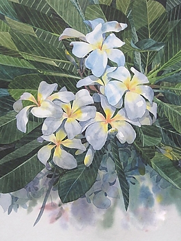 位圖 寫意花卉 植物 花朵 免費(fèi)素材