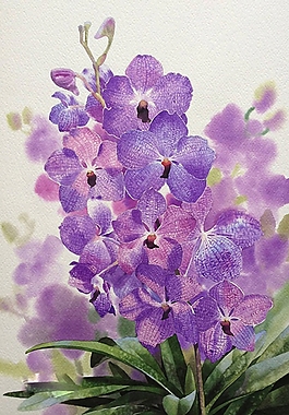 位圖 寫意花卉 植物 花朵 免費素材