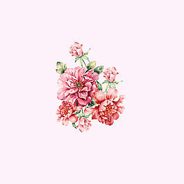 位圖 psd 植物 花朵 pop原創(chuàng) 免費素材
