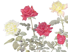 位圖 寫(xiě)意花卉 植物 花朵 免費(fèi)素材