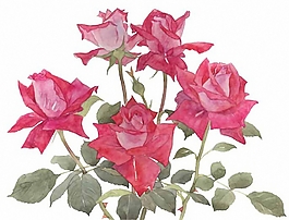 位圖 寫意花卉 植物 花朵 免費素材