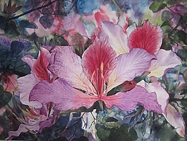 位圖 寫意花卉 植物 花朵 免費素材