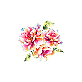 位圖 psd 植物 花朵 免費素材