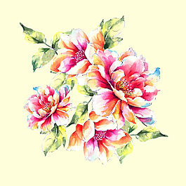 位圖 psd 植物 花朵 免費素材