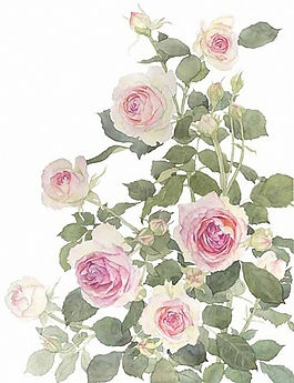 位圖 寫(xiě)意花卉 植物 花朵 免費(fèi)素材