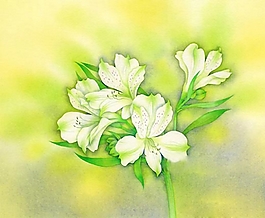 位圖 寫意花卉 植物 花朵 免費素材