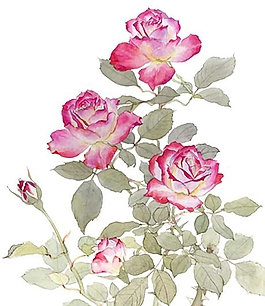 位圖 寫意花卉 植物 花朵 免費素材