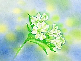 位圖 寫意花卉 植物 花朵 免費素材