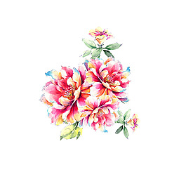 位圖 psd 植物 花朵 免費(fèi)素材