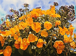 位圖 寫意花卉 植物 花朵 免費素材