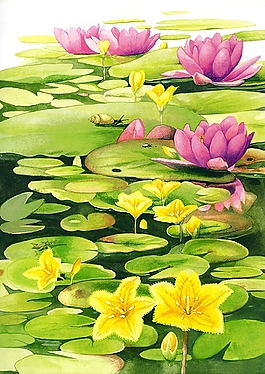 位圖 寫意花卉 植物 花朵 免費(fèi)素材