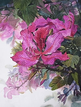 位圖 寫意花卉 植物 花朵 免費素材