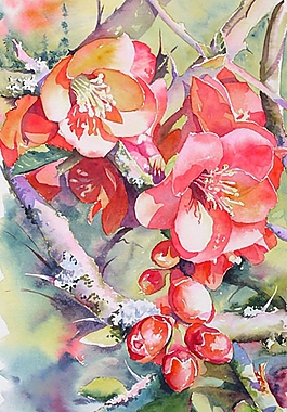 位圖 寫意花卉 植物 花朵 免費(fèi)素材