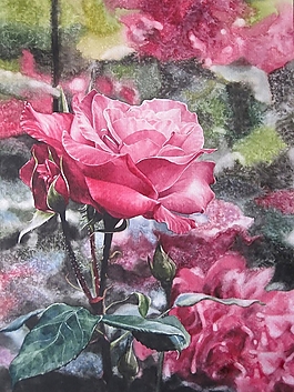 位圖 寫意花卉 植物 花朵 免費素材