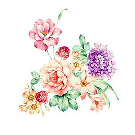 位圖 psd 植物 花朵 免費(fèi)素材