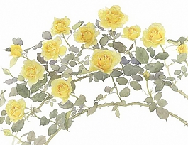 位圖 寫意花卉 植物 花朵 免費素材