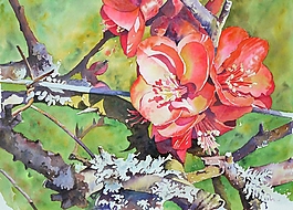 位圖 寫意花卉 植物 花朵 免費素材