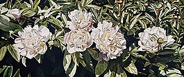 位圖 寫意花卉 植物 花朵 免費(fèi)素材