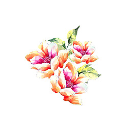 位圖 psd 植物 花朵 免費(fèi)素材