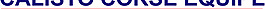 Calisto_Corse_Equipe_Race_Services logo設(shè)計欣賞 Calisto_Corse_Equipe_Race_Services體育標(biāo)志下載標(biāo)志設(shè)計欣賞