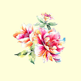 位圖 psd 植物 花朵 免費素材