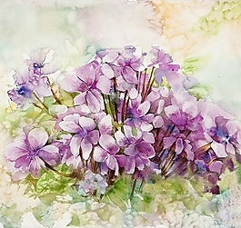 位圖 寫意花卉 植物 花朵 免費素材