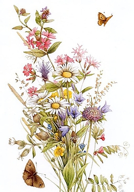 位圖 寫(xiě)意花卉 植物 花朵 免費(fèi)素材
