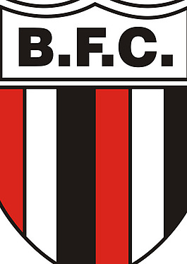 Botafogo_Futebol_Clube logo設(shè)計(jì)欣賞 Botafogo_Futebol_Clube運(yùn)動(dòng)LOGO下載標(biāo)志設(shè)計(jì)欣賞