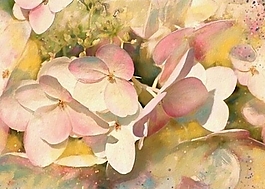 位圖 寫意花卉 植物 花朵 免費素材