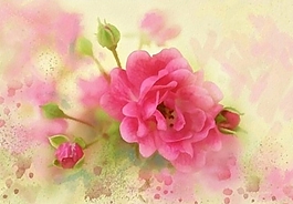位圖 寫意花卉 植物 花朵 免費素材