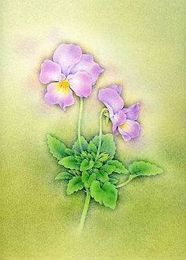 位圖 寫意花卉 植物 花朵 免費素材