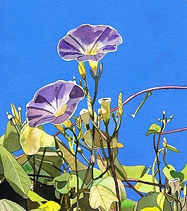 位圖 寫(xiě)意花卉 植物 花朵 免費(fèi)素材