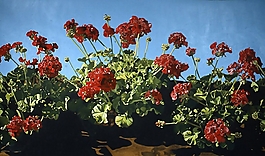 位圖 寫意花卉 植物 花朵 免費(fèi)素材