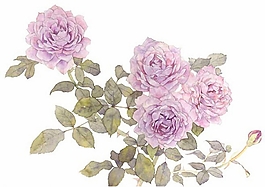 位圖 寫意花卉 植物 花朵 免費素材