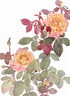 位圖 寫意花卉 植物 花朵 免費素材