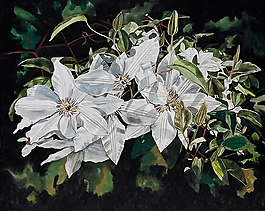 位圖 寫意花卉 植物 花朵 免費素材
