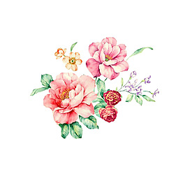 位圖 psd 植物 花朵 免費(fèi)素材