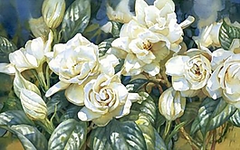 位圖 寫(xiě)意花卉 植物 花朵 免費(fèi)素材