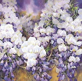 位圖 寫意花卉 植物 花朵 免費素材