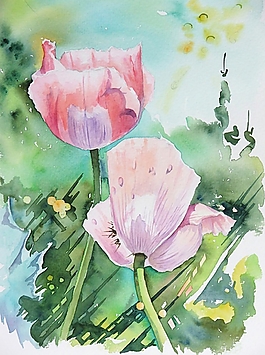 位圖 寫意花卉 植物 花朵 免費(fèi)素材