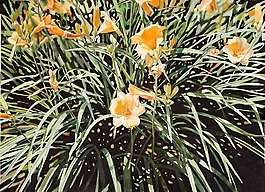 位圖 寫意花卉 植物 花朵 免費(fèi)素材