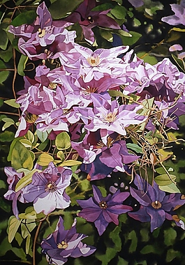 位圖 寫意花卉 植物 花朵 免費(fèi)素材