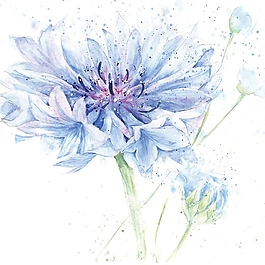 位圖 寫(xiě)意花卉 植物 花朵 免費(fèi)素材