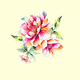 位圖 psd 植物 花朵 免費素材