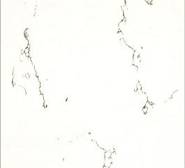 27780_瓷磚_地磚