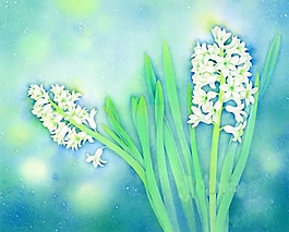 位圖 寫意花卉 植物 花朵 免費(fèi)素材