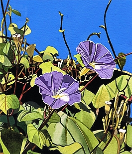 位圖 寫意花卉 植物 花朵 免費素材