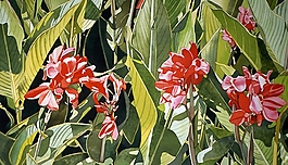 位圖 寫意花卉 植物 花朵 免費(fèi)素材